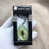 ★ Hergestellt aus echten Insekten und Harz, hat es einen zarten Griff, Anti-Fall und Haltbarkeit.