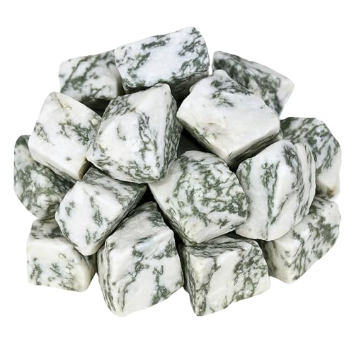 Image of Amazing Gemstone 2 Pieces Tree Agate Raw Crystals and Healing Stones, Natural Rocks for Tumbling and DIY Raw Stones and Crystals