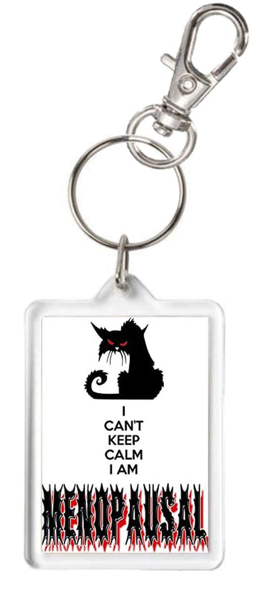 Kazmugz Women's Multicolor Menopause Keyring, I Can't Keep Calm I Am Menopausal. Gift For Of A Certain Age.