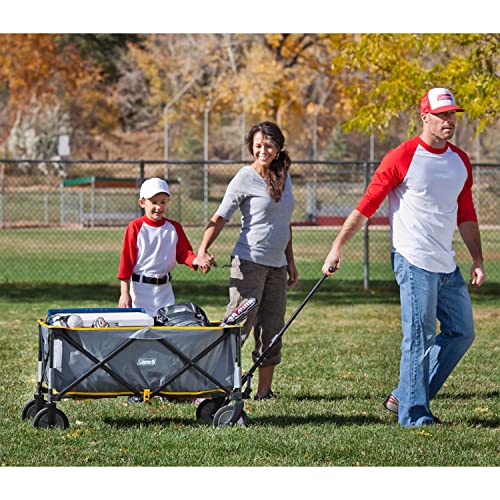 Electric Cargo Wagon Utility Cart