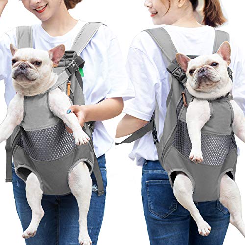 Lifeunion-Legs-Out-Dog-Carrier-Backpack-Hands-Free-Adjustable-Pet-Travel-Carrier-for-Small-Medium-Dogs-Cats-Motorcycle-Hiking-Walking-Grey