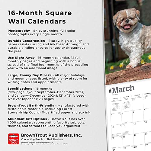 Shih Tzu | 2024 12 X 24 Inch Monthly Square Wall Calendar | Browntrout | Animals Small Dog Breeds #TOP4