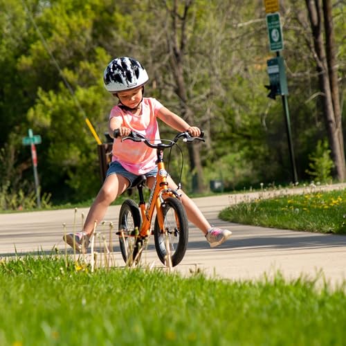 Bicicleta de equilibrio con neumáticos para todo uso y cómodo sillín acolchado 6