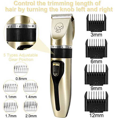 Tondeuse Chien Professionnelle,13 Pcs Tondeuse Chien,Lames en Céramique Amovibles et Lavables,Faible Bruit Rechargeable Electrique Tondeuse pour Chien et Chat Dog Clipper Kit (Doré) – Image 4
