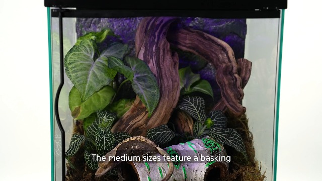 Amazon.com: Zilla Rapid Sense UV Detecting Pet Reptile Terrarium