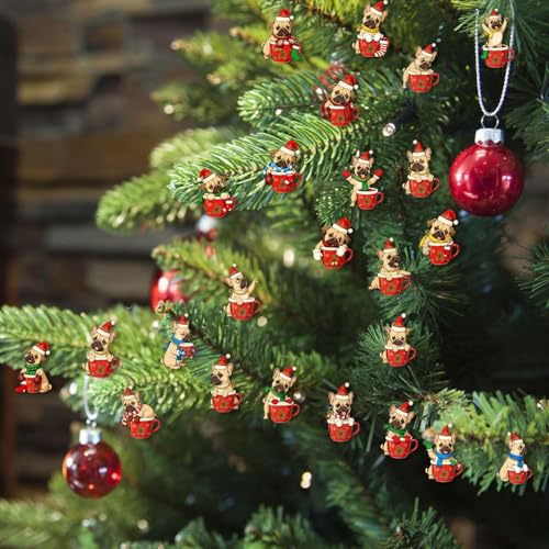 NX}X JEg_E J_[,24 NGCeBu AN e[}  - ʔ̃NX}XJ_[ | ql܂ŉƑS̃zf[Mtgƃp[eB[