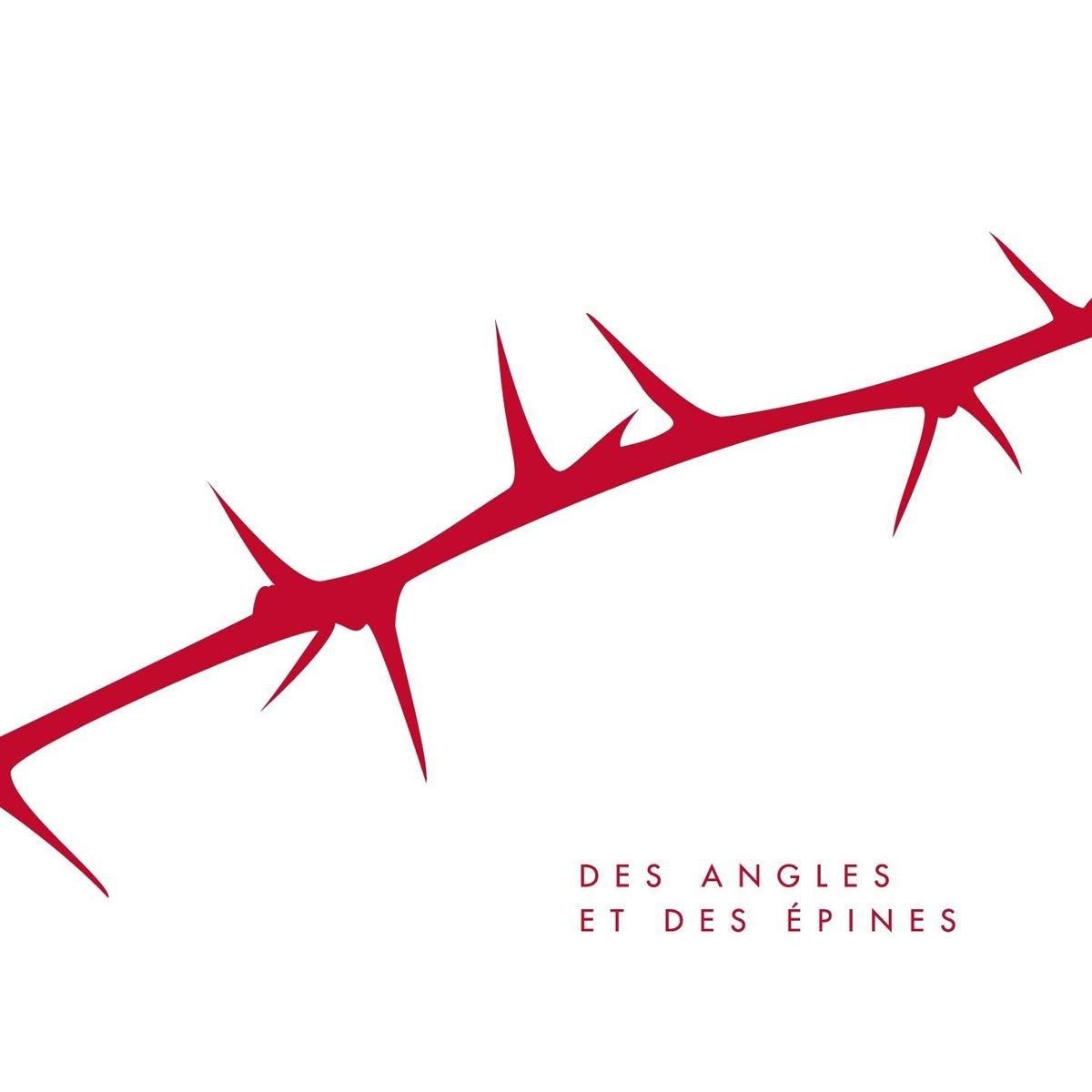 DES ANGLES ET DES EPINES