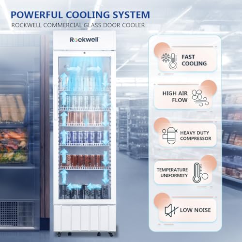 Image of ROCKWELL RVC500A Single Glass Door Visi Cooler, Internal LED, Dynamic Cooling,4 Year Warranty (White)