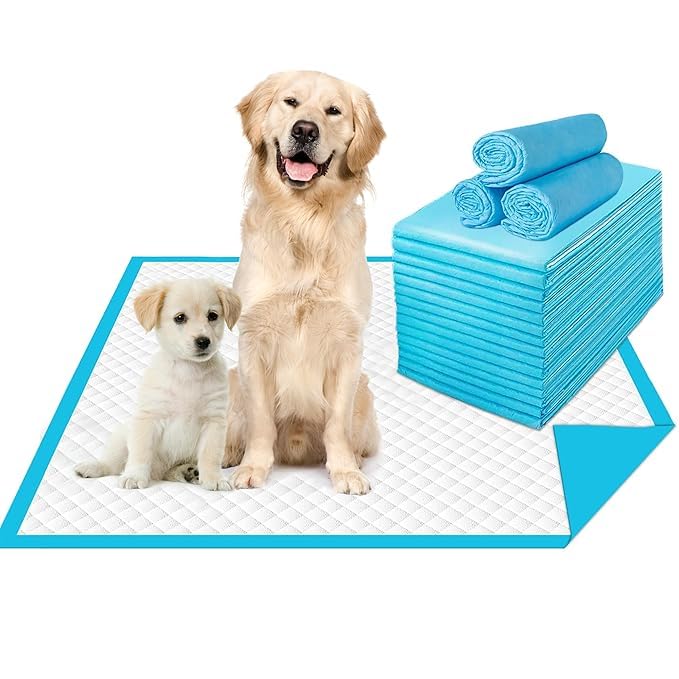 Tails Tender Pets Pee Training Pad (Size - 60*60 cm)- Leak Proof, Odor Free Potty Pad for Dogs & Cats (45) (B0D8WGPCNM) Amazon Price History, Amazon Price Tracker