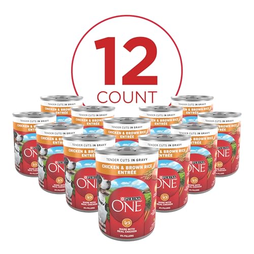 Image of Purina ONE Natural High Protein Dog Food, Tender Cuts in Gravy Chicken and Brown Rice Entree - 13 Ounce (Pack of 12)