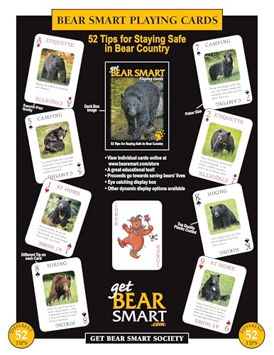 Baraja Educativa Discover Series Bear Smart miniatura 2
