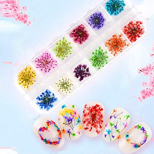 Kit 24 piezas flores secas para manualidades y decoración miniatura 7