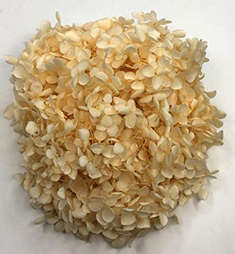 4-4,5 g / Lote de Flores Naturales Frescas conservadas Cabeza de Flor de Hortensia Seca para Bricolaje Material de Flores de la Vida eterna real-17 Cover