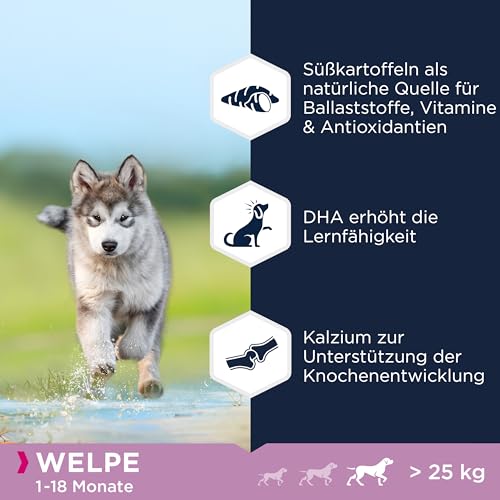Eukanuba Welpenfutter getreidefrei mit Lamm für große Rassen - Trockenfutter ohne Getreide für Junior Hunde, 12 kg