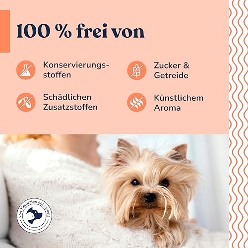 Felmo- Hochdosiert B-Vitamine + Tabletten für Hunde (120g) einschließlich Vitamin B1, B2, B3, B6 und B12 - Mit Biotin & Bierhefe leicht zu verabreichen- Mit Tierärzten entwickelt und empfohlen