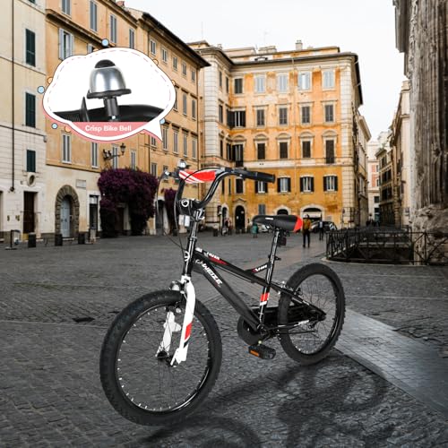 WEIZE 20 Inch Kids Bike