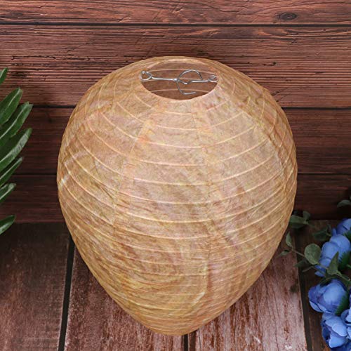 Cabilock 4 Pcs Vespa Ninho Chamariz Natural Vespa Repelente Material á  Prova D 'água Pendurado Fal