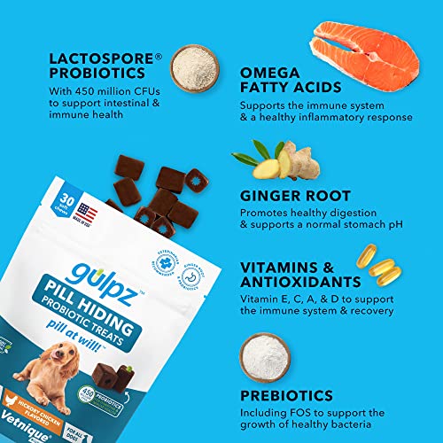 Glandex Vetnique Gulpz Pill Hiding Probiotic Treats For Dogs (30Ct) Anal Gland Hygienic Dog Wipes (100Ct) Bundle #TOP5