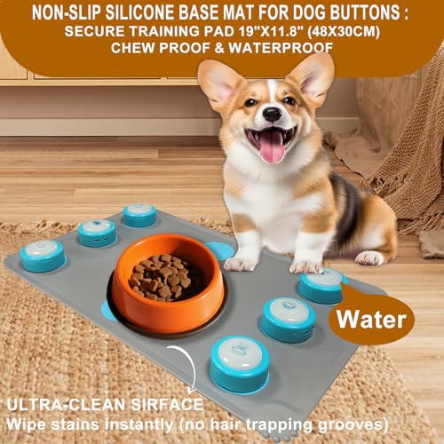 Training Your Pet with KIMPOK Buttons