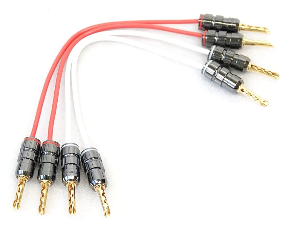 Amazon.co.jp: ZONOTONE 6NSP-Granster 2200α 導体 2SQ×4本 19cm