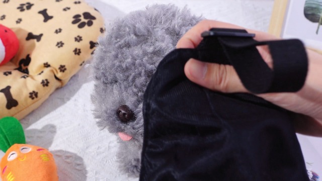 Amazon.com : Xuniea Dog Calming Cap Dog Blindfold Shading Eye