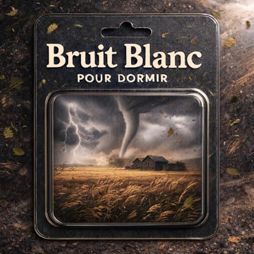 Bruit Blanc 1 H pour DORMIR : Son du vent ASMR