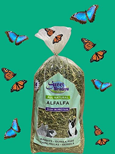 Sweet Meadow Farm Alfalfa Hay 24 oz