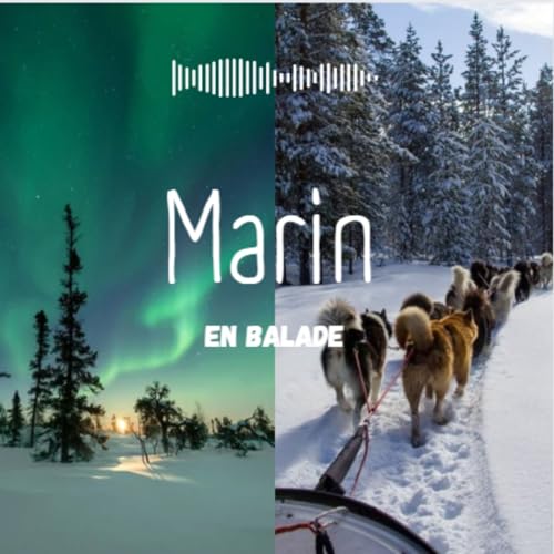 Page de couverture de inondation sonore n°4 - dans la peau d'un handler suédois