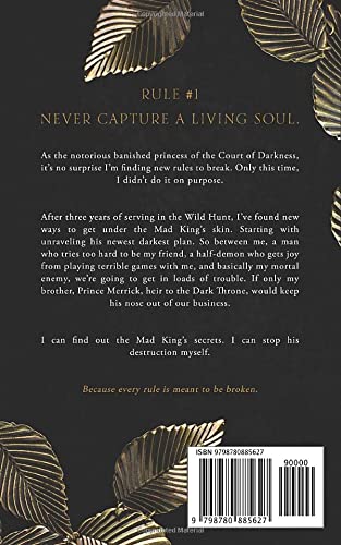 A Court of Darkness (The Fallen Fae Series) - Image 2