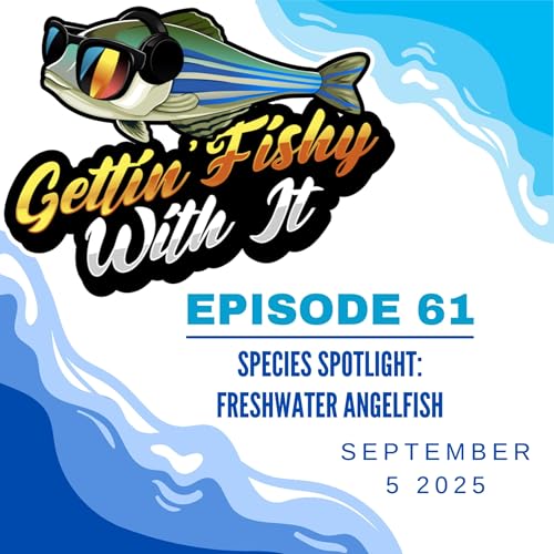 Species Spotlight: Freshwater Angelfish cover art