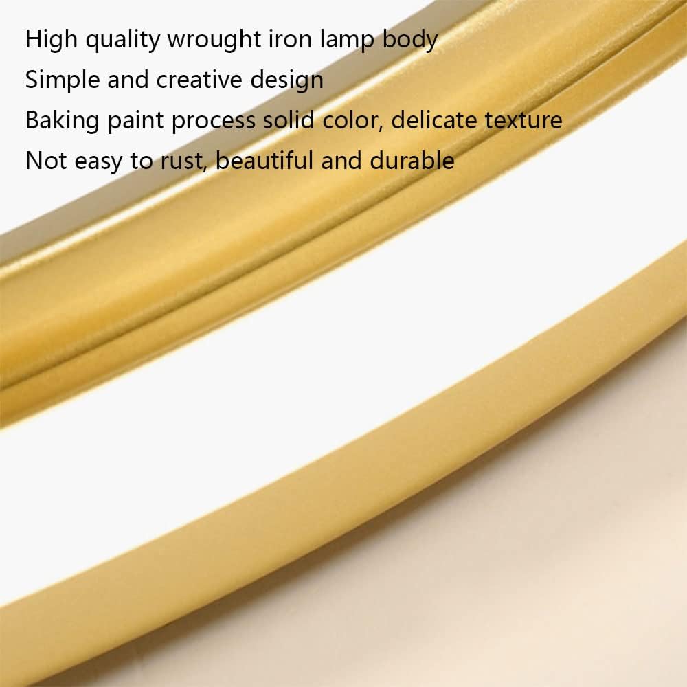 with Remote Led Ceiling Light Stepless Dimming Dimmable Led Ceiling Lamp Energy-Saving Simple Flat Light Light Color Changeable Decorative Lighting Fixtures for Living Room and Bedroom/D/50C