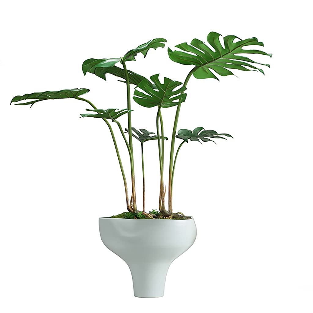 IUokLU Tree Fake Plant Artificial Plant Lifelike Natural Simulation Turtle Back Leaf with Ceramic Flower Pot Green Plant Bonsai for Modern Home Office Decoration Potted Tree Artificial