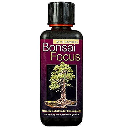 300ml Bonsai Focus professional Concentrated liquid plant feed Makes 60Litres - Made in the UK