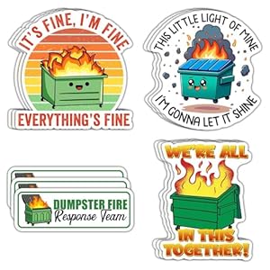 12 calcomanías de fuego para contenedor, I’m Fine It’s Fine Everything is Fine, divertidas calcomanías de memes, This Little Light of Mine Im Gonna Let It Shine para laptop, botella de agua, vaso, 3