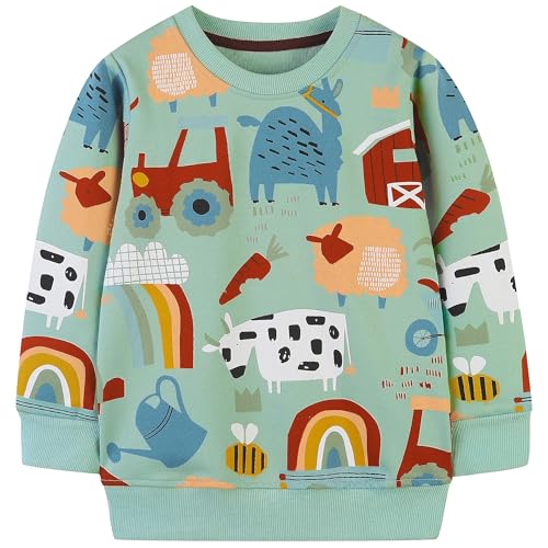 Image of AIWUHE Toddler Cotton Sweatshirt Boys Girls Pullover Long Sleeve Tops 2-6Y | Tops Blouse, Cotton T-Shirt, Fall Winter Clothes