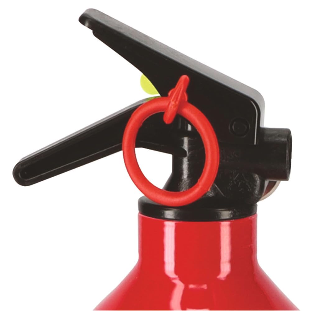 Autobest Lot de 2 extincteurs 1kg à Poudre - Classes de Feux ABC - avec manomètre et Support - pour Voiture et Maison