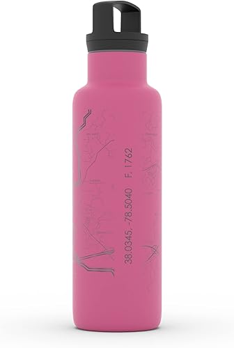 Miniatura 542 de Well Told Botella de agua aislada con mapa Chicago Illinois, grabado de acero inoxidable (21 onzas, gris muelle) botella aislada de mapa