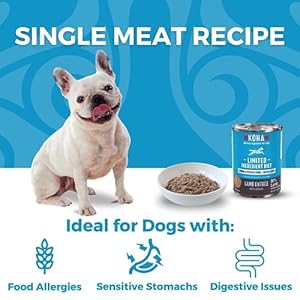 KOHA Limited Ingredient Diet Lamb Entrée for Dogs – Grain Free Wet Dog Food with No Fillers – Canned Dog Food Sensitive Stomach – 13 oz Pack of 12