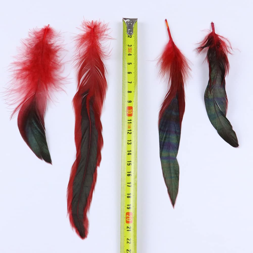 Lot De 100 Plumes De Faisan Naturelles - Longueur 14-20 Cm | Pour Artisanat DIY, Décoration, Costumes, Accessoires