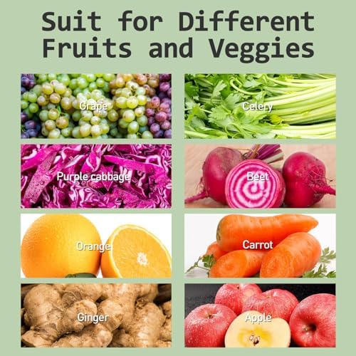 Whall Masticating Slow Juicer Gray thumbnail 6