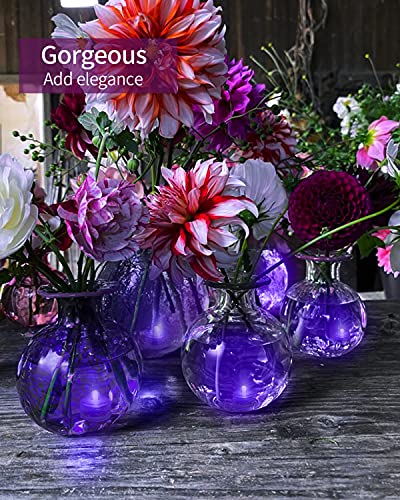https://m.media-amazon.com/images/I/51xnNeMQLbL._SL500_.jpg