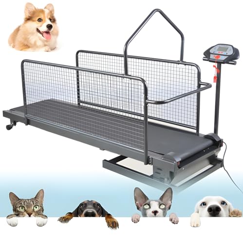 Hunde-Laufband für große/mittelgroße Haustiere, verstellbares Trainingsgerät mit LCD-Display & Schrittzähler, Indoor/Outdoor, unterstützt bis zu 100 kg