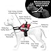 Service Dog Vest with Hook and Loop Straps and Handle - Harness is Available in 8 Sizes from XXXS to XXL - Service Dog Harness Features Reflective Patch and Comfortable Mesh Design Bright Red