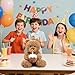 LIAVOP Oso de peluche de peluche Happy Birthday con tarta y gorro Imagen de LIAVOP Oso de peluche de peluche Happy Birthday con tarta y gorro