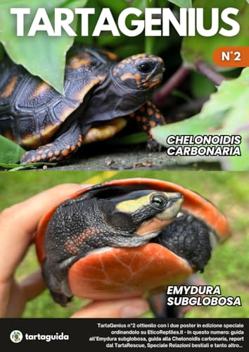 TartaGenius n°2: Emydura subglobosa e Chelonoidis carbonaria