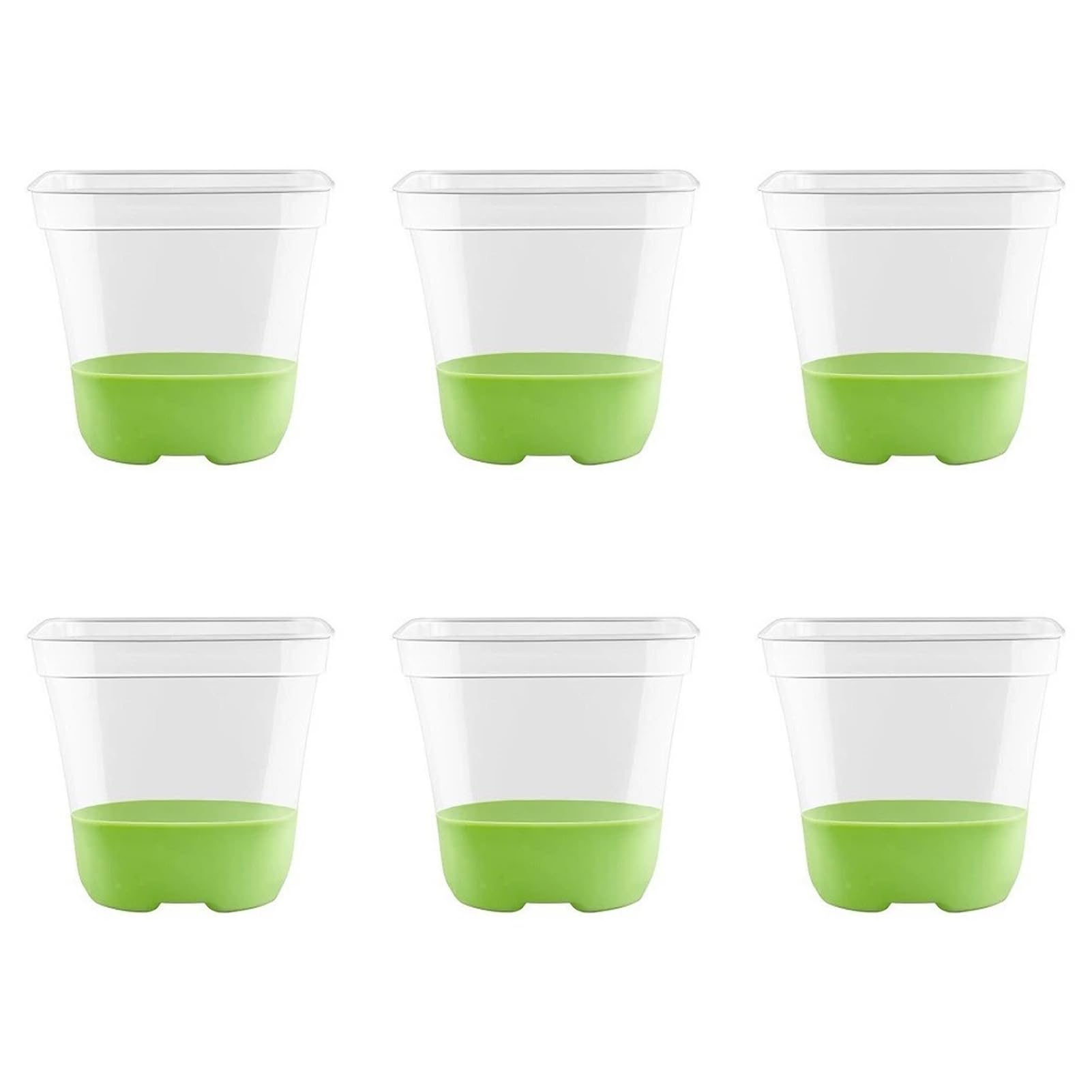 TWISAXC 6pack/lot Clear Plant Pots With Labels Transparent Flower Pot For Orchids Acrylic Plant Pots With Drainage Pothos, chartreuse