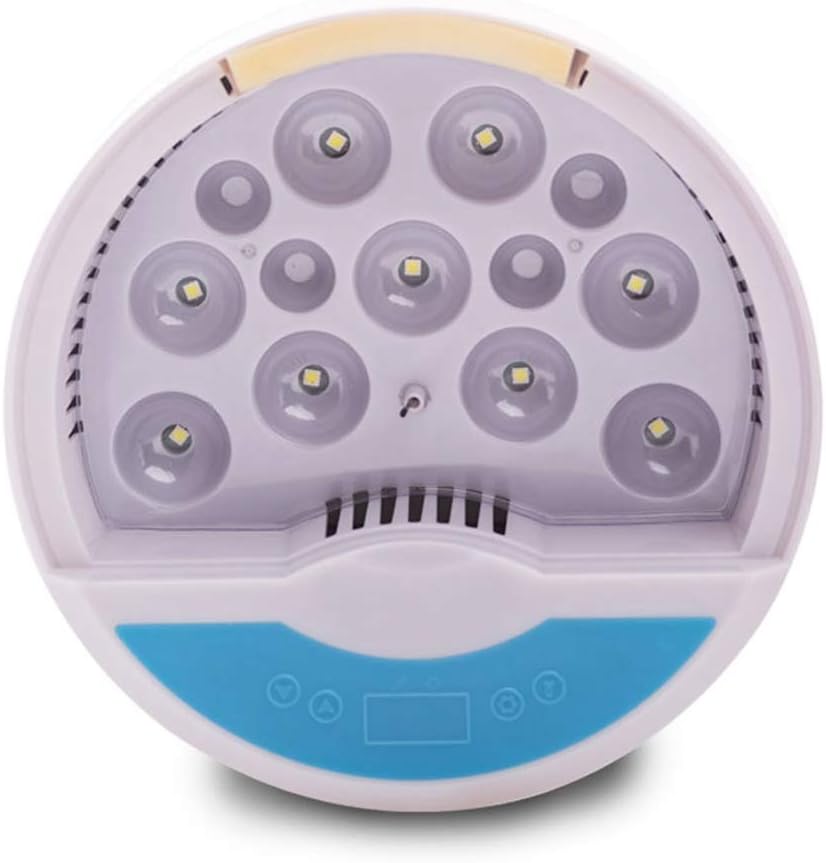 Top view of incubator showing LED candling lights