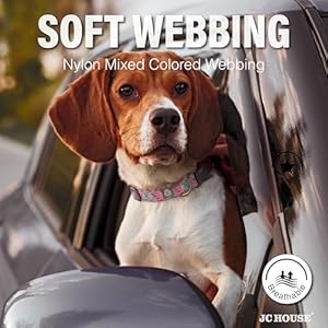 Reflective Dog Collar Neck 1625 Adjustable Soft Nylon Collar with Safety Lock for Medium Large Dogs Pink L  Cucciolini Doodles Reflective dog collar neck 16 25 adjustable soft nylon collar with safety lock for medium large dogs pink l   cucciolini doodles