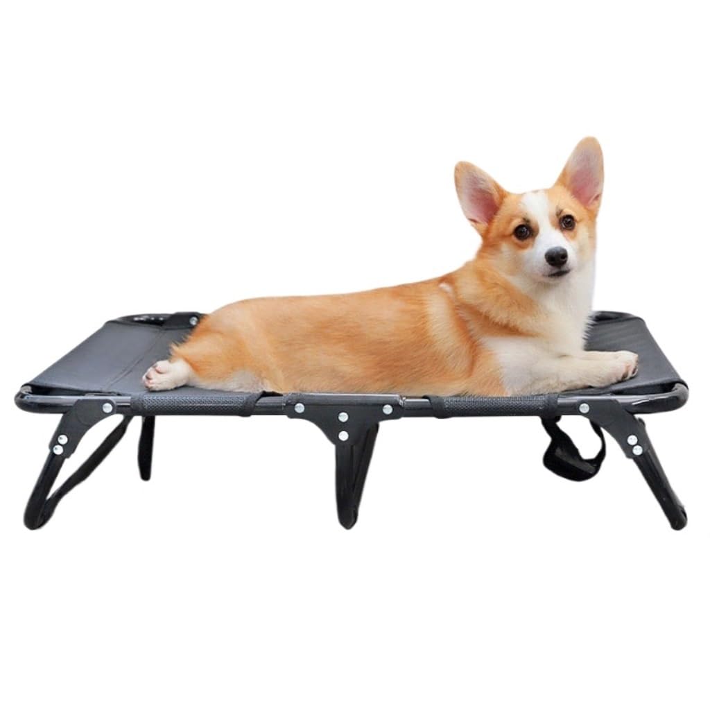 Cama For Mascotas Perrera for perros Cama de campamento for perros Four Seasons Universal Verano Perro grande Fuera del suelo Cama plegable Cama for mascotas Cama for perros Cama Perro Elevada(M)