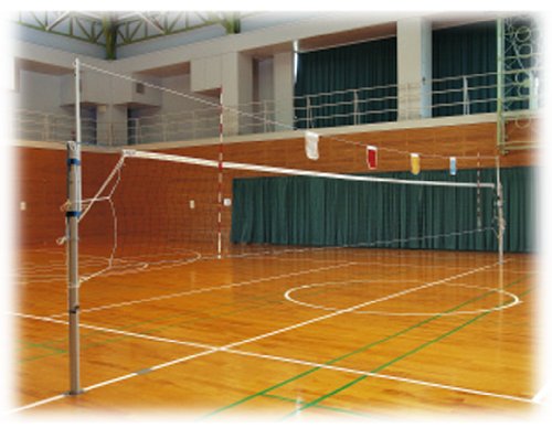 Amazon | モルテン(molten) バレーボール サーブ練習器 VSU用ポール